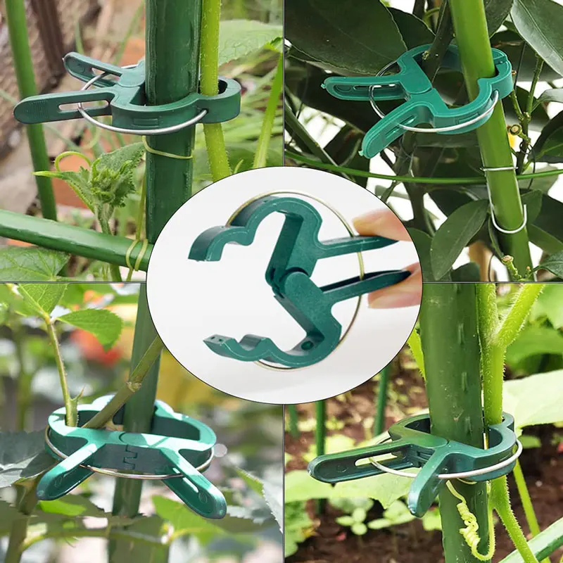 Plant Fixed Clips Reusable Garden Greenhouse Bracket for Fixed Plants ...