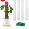 4Pcs-Moss Pole