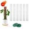 6Pcs-Moss Pole