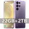 Purple 22GB 2TB