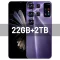 Purple 22GB 2T